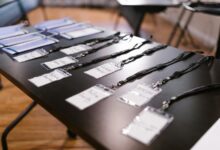 mixed data audit identifiers and names