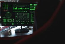 network and technical scan dazeeha xotros boxer photoacompn