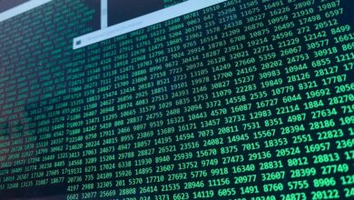user record phone numbers and id